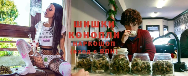 индика Балабаново