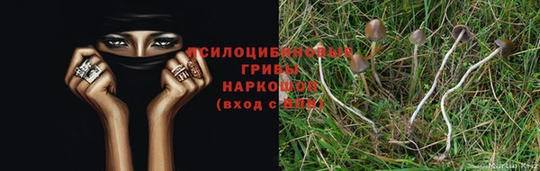 тгк Баксан