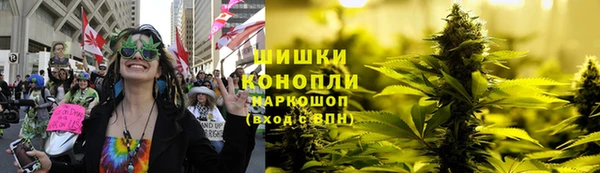 индика Балабаново